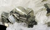 Gleaming, Cubic Pyrite With Quartz Crystals - Peru #54984-3